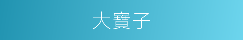 大寶子的同義詞