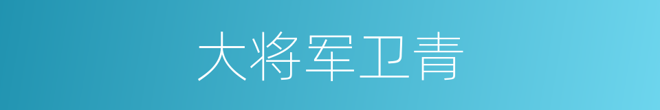 大将军卫青的同义词
