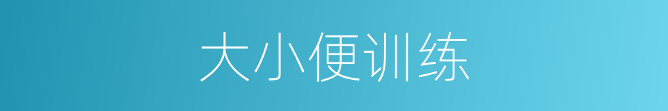 大小便训练的同义词