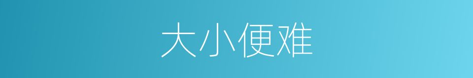 大小便难的同义词