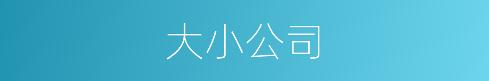 大小公司的同义词