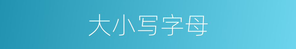 大小写字母的同义词