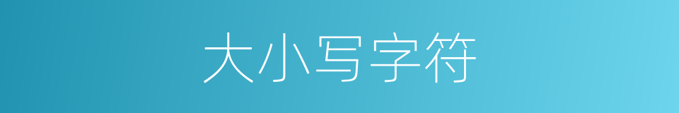 大小写字符的同义词