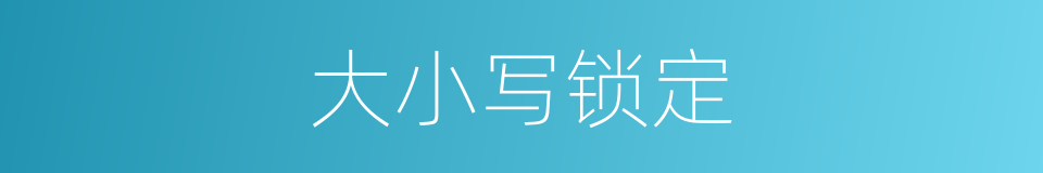 大小写锁定的同义词