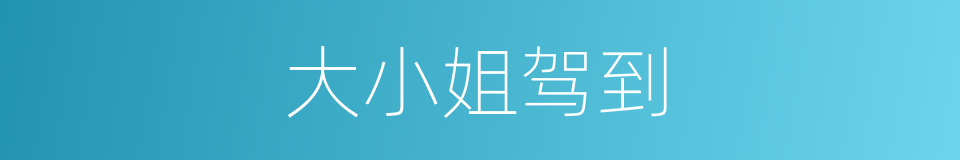 大小姐驾到的同义词