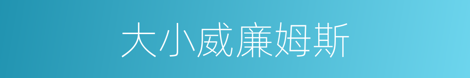 大小威廉姆斯的同义词