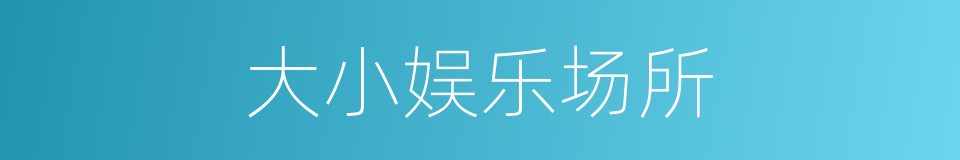 大小娱乐场所的同义词