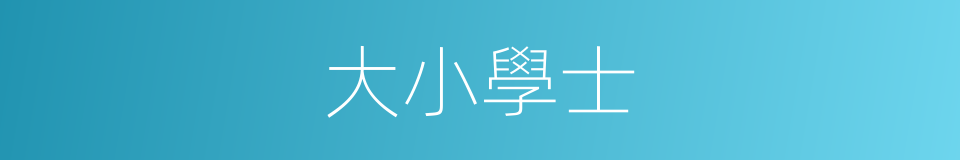 大小學士的意思