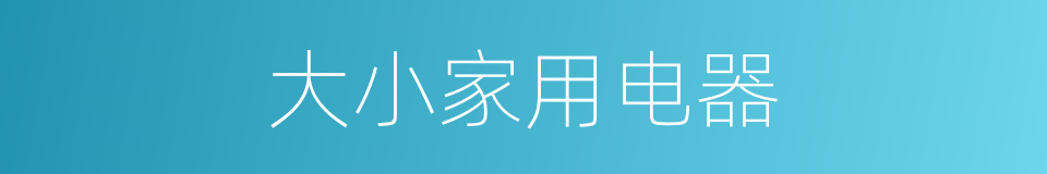 大小家用电器的同义词