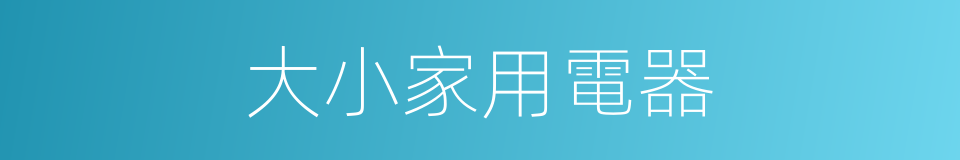 大小家用電器的同義詞