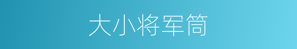 大小将军筒的同义词