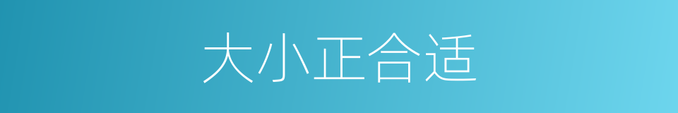 大小正合适的同义词