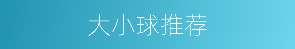 大小球推荐的同义词