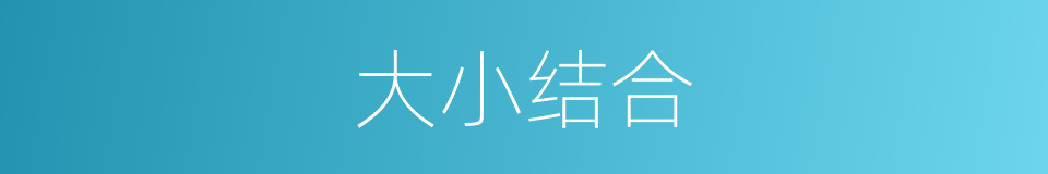 大小结合的同义词