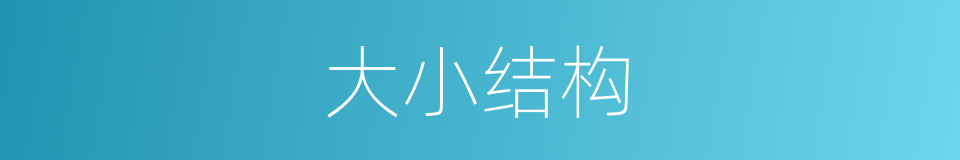 大小结构的同义词