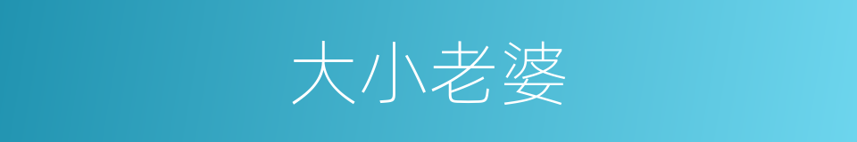 大小老婆的同义词