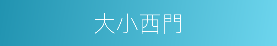 大小西門的同義詞