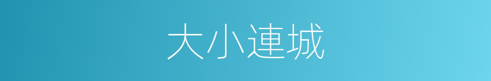 大小連城的同義詞