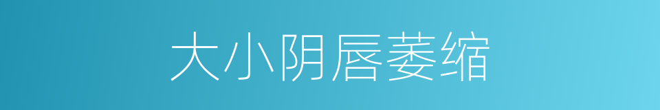 大小阴唇萎缩的同义词