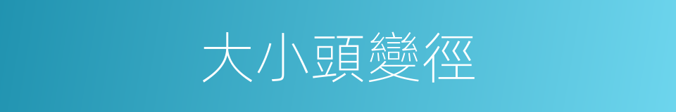 大小頭變徑的同義詞