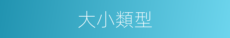 大小類型的同義詞