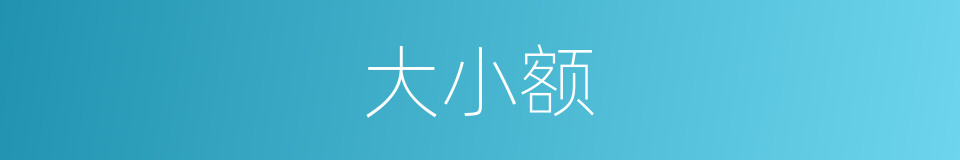 大小额的同义词