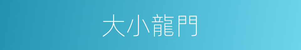 大小龍門的同義詞