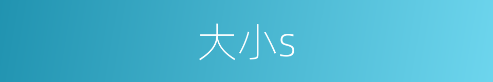 大小s的同义词