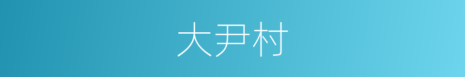 大尹村的同义词