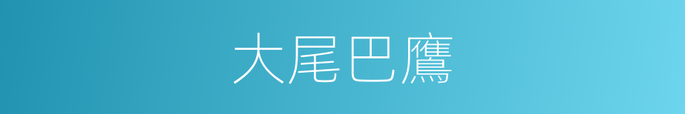 大尾巴鷹的同義詞