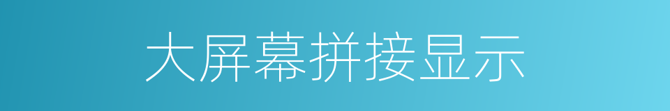 大屏幕拼接显示的同义词