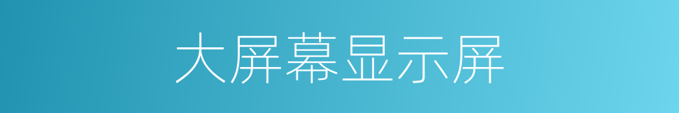 大屏幕显示屏的同义词
