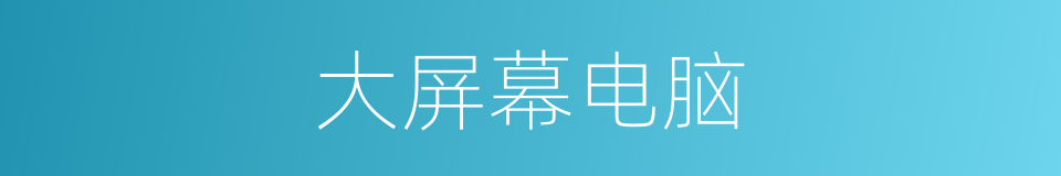 大屏幕电脑的同义词