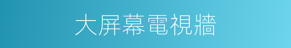 大屏幕電視牆的同義詞