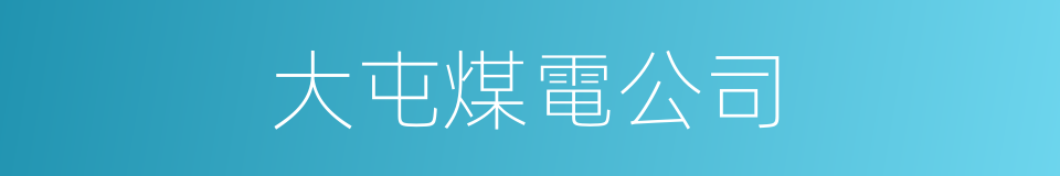 大屯煤電公司的同義詞