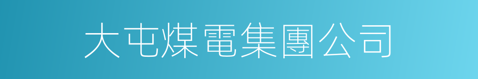 大屯煤電集團公司的同義詞