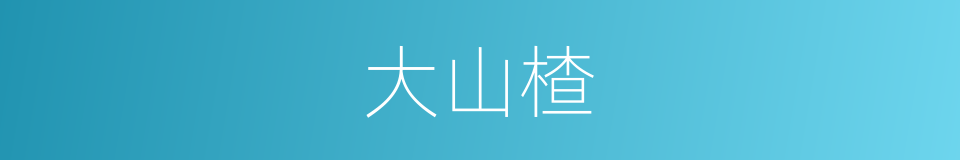 大山楂的同义词