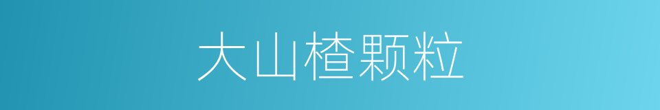 大山楂颗粒的同义词