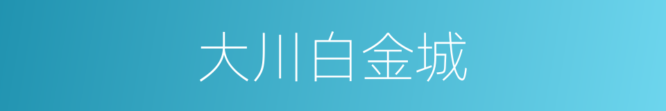 大川白金城的同义词