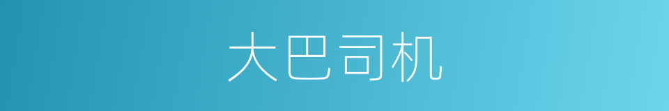 大巴司机的同义词