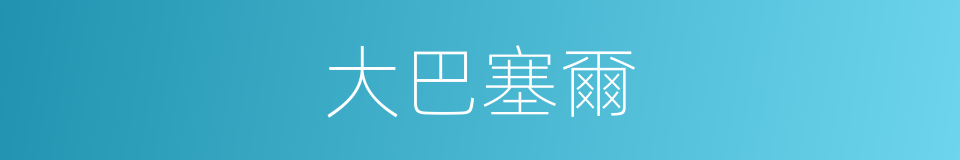 大巴塞爾的同義詞