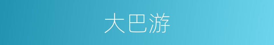 大巴游的同义词