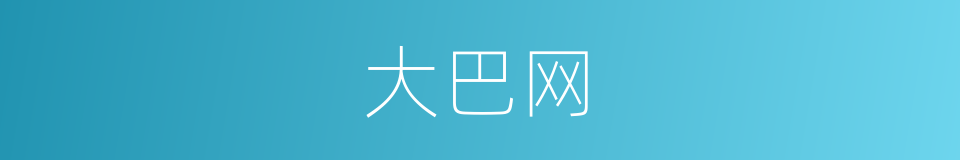 大巴网的同义词