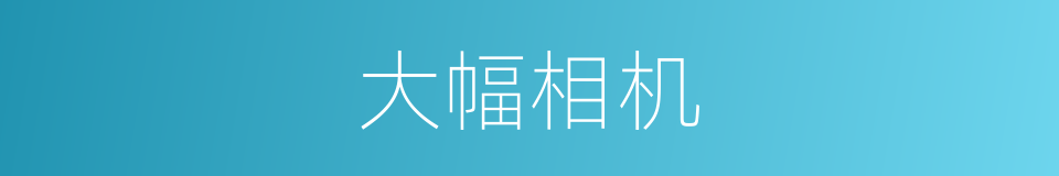 大幅相机的同义词