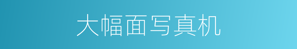 大幅面写真机的同义词