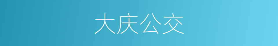 大庆公交的同义词