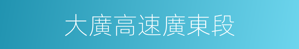 大廣高速廣東段的同義詞