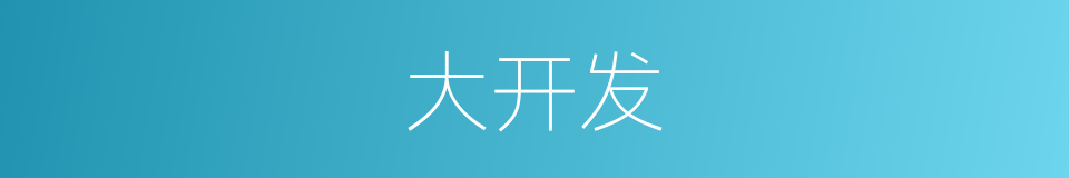 大开发的同义词
