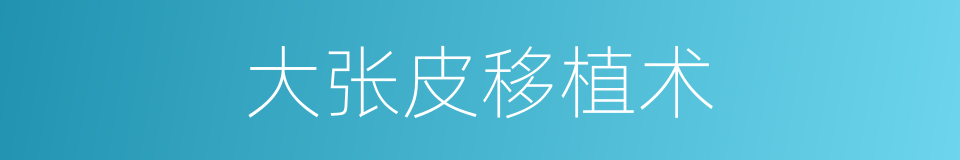 大张皮移植术的同义词