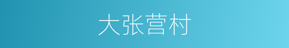 大张营村的同义词